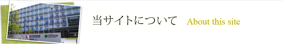 ���T�C�g�ɂ���
